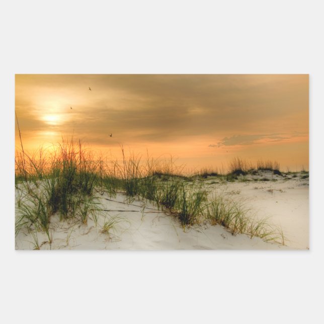 Fiskmåsar vid Soluppgång Rektangulärt Klistermärke (Framsida)