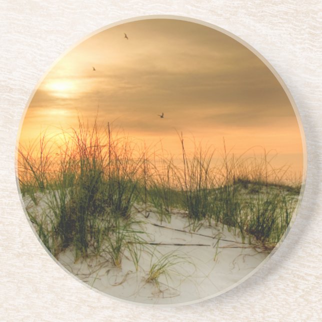 Fiskmåsar vid Soluppgång Underlägg (Framsidan)