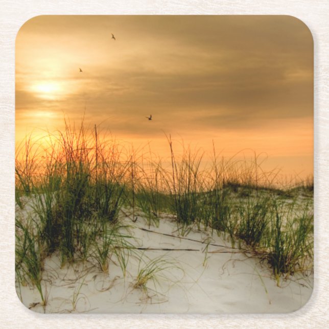 Fiskmåsar vid Soluppgång Underlägg Papper Kvadrat (Framsidan)