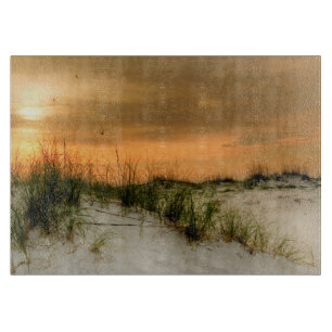 Fiskmåsar vid Sunrise