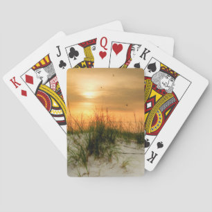Fiskmåsar vid Sunrise Spel Kort