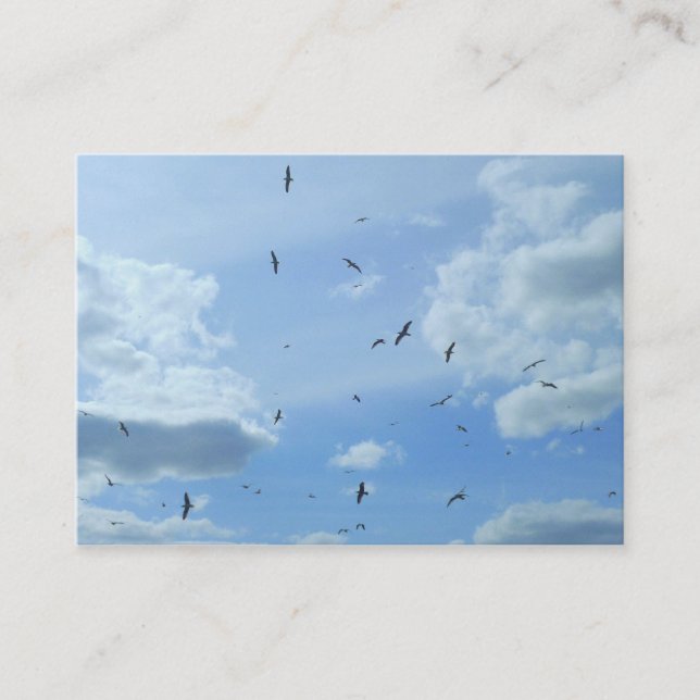 Fiskmåsar Visitkort (Framsida)