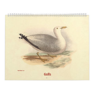 Fiskmåsen Lithographs - från fåglar av New York - Kalender