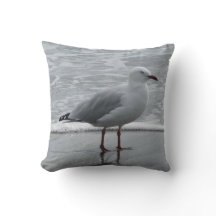 Fiskmåsen på bevattnar kanten