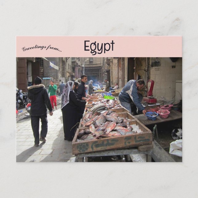 Fiskmongers in Old Islamic Quarter of Cairo Egypte Vykort (Framsida)