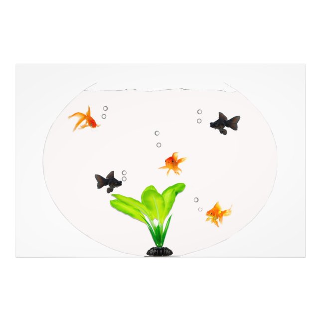 Fiskskål Fototryck (Framsidan)