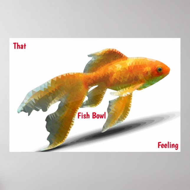 Fiskskålskänsla Affisch (Framsidan)