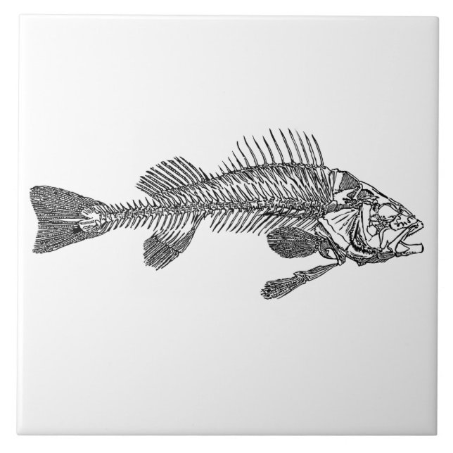 Fiskskelett Kakelplatta (Framsidan)
