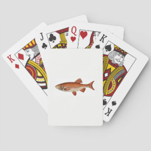 Fiskspelkort Casinokort