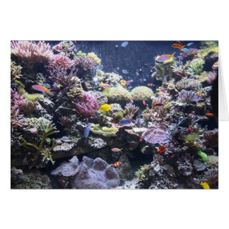 Fisktank Hälsningskort
