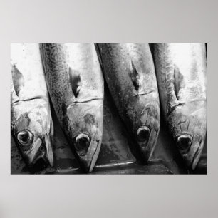 Fisktäppning i svartvitt poster
