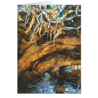 Fisktillflyktsort Hälsningskort