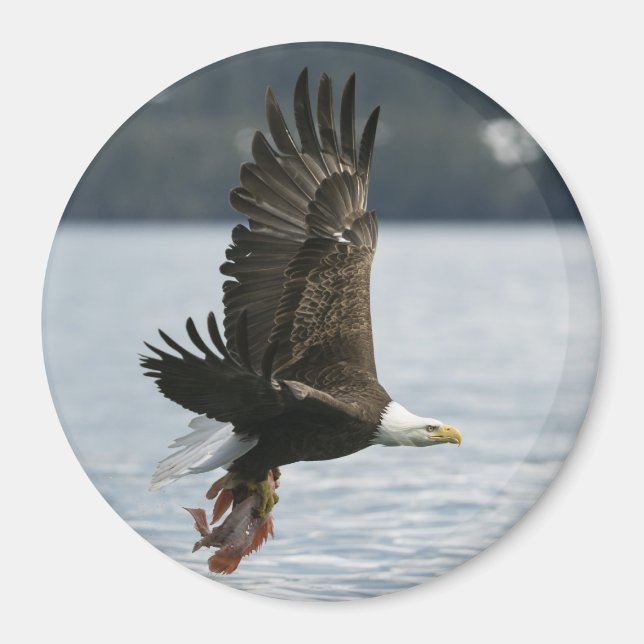 Fiskupphämtning i örn magnet (Framsidan)
