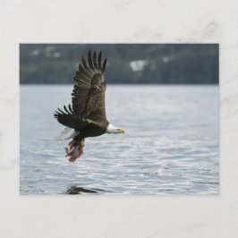 Fiskupphämtning i örn vykort