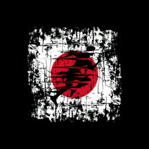 FITNESS JAPAN SPRINGER GYM KOR UTBILDNINGSVIKT