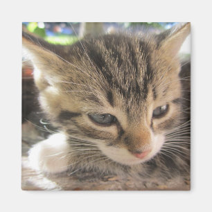 Fitsy Söt One Magnet