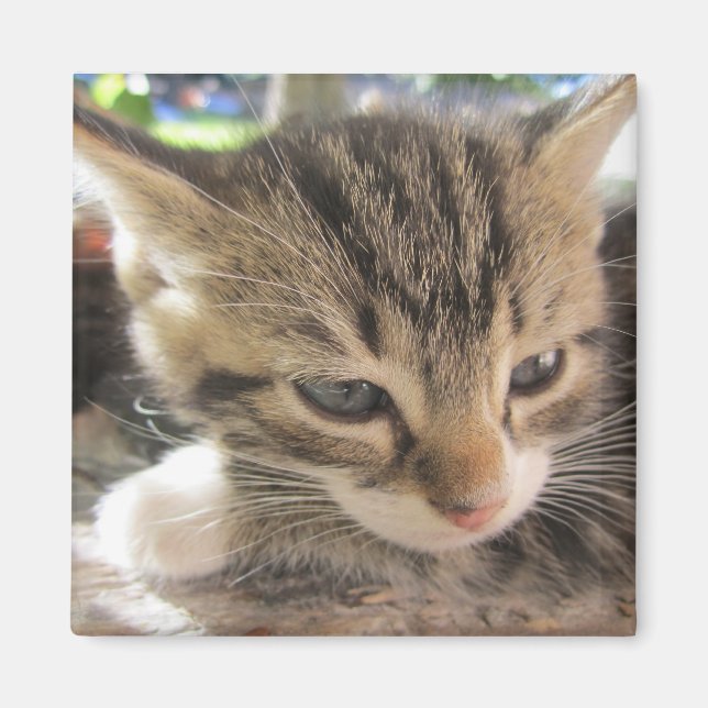 Fitsy Söt One Magnet (Framsidan)