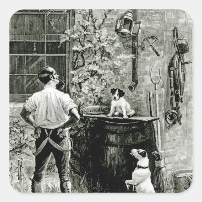 Fittests överlevnad fyrkantigt klistermärke (Framsida)