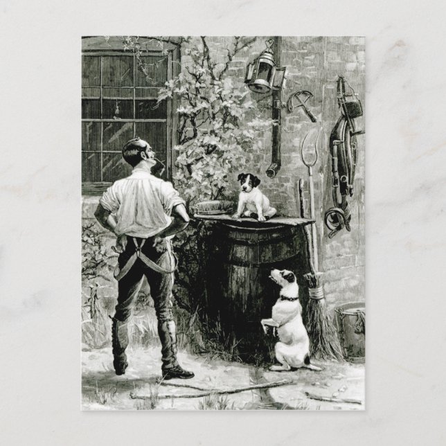 Fittests överlevnad vykort (Framsida)