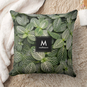 Fittonia Mosaic Plant med Variegated Löv Kudde