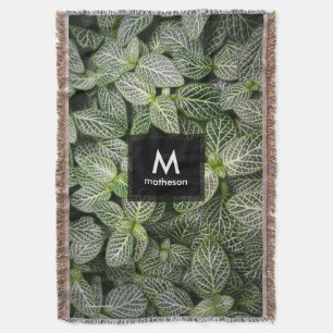 Fittonia Mosaicväxt med brokiga blad Filt
