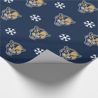FIU Panthers - Jul Presentpapper