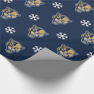 FIU-Pantrar - jul Presentpapper