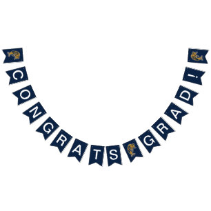 FIU-Pantrar Studenten Vimplar