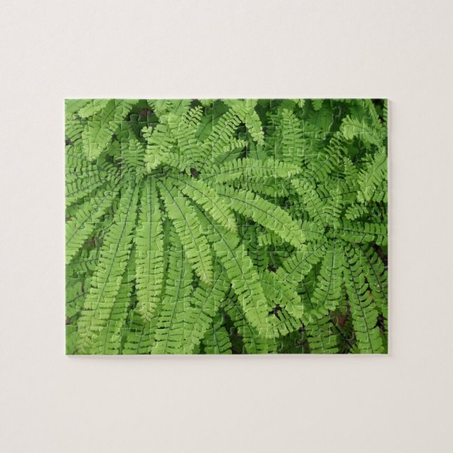 Five Finger Maidenhair Fern Pussel (Horisontell)