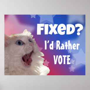 Fixa? Jag röstar hellre Poster