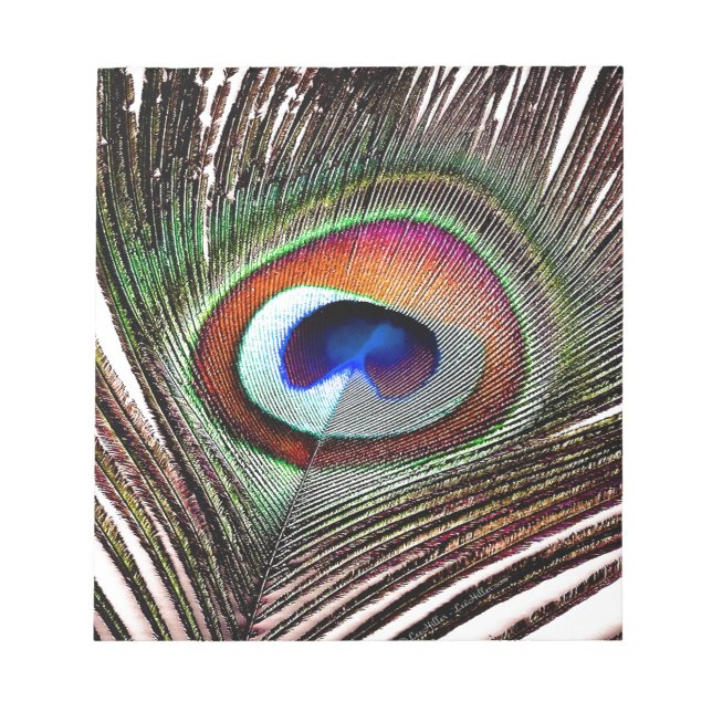 Fjäder av färgad kopparpeacock anteckningsblock (Framsida)