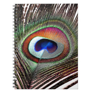 Fjäder av färgad kopparpeacock anteckningsbok