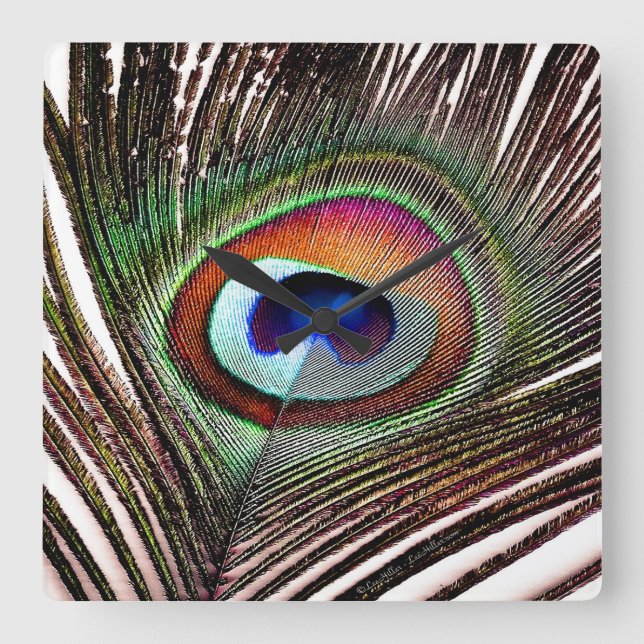 Fjäder av färgad kopparpeacock fyrkantig klocka (Framsida)