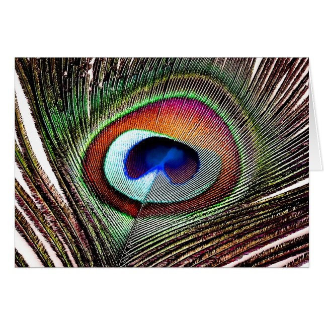 Fjäder av färgad kopparpeacock hälsningskort (Framsidan Horizontal)