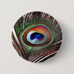 Fjäder av färgad kopparpeacock knapp