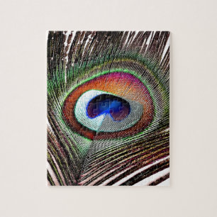 Fjäder av färgad kopparpeacock pussel