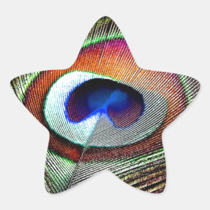 Fjäder av färgad kopparpeacock stjärnformat klistermärke