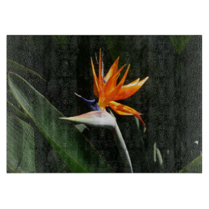 Fjäder från Paradise Orange Tropical Flower