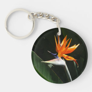 Fjäder från Paradise Orange Tropical Flower