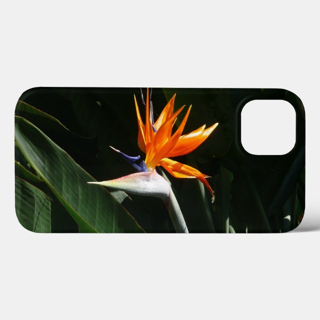 Fjäder från Paradise Orange Tropical Flower (Baksida (horisontell))