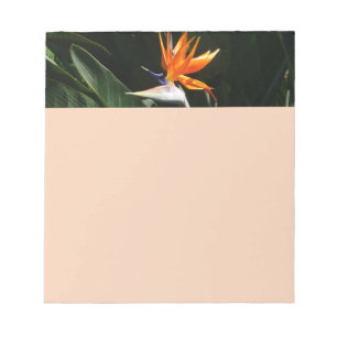 Fjäder från Paradise Orange Tropical Flower Anteckningsblock