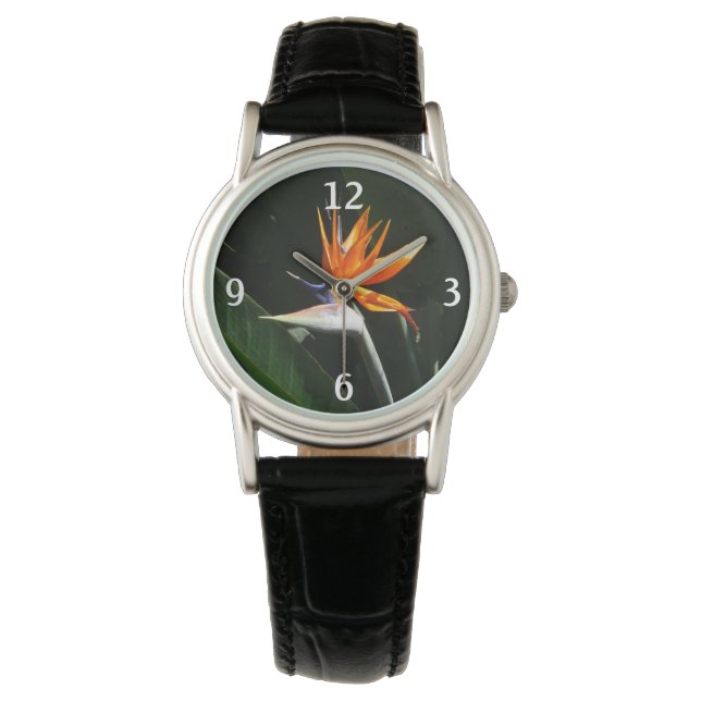 Fjäder från Paradise Orange Tropical Flower Armbandsur (Framsida)