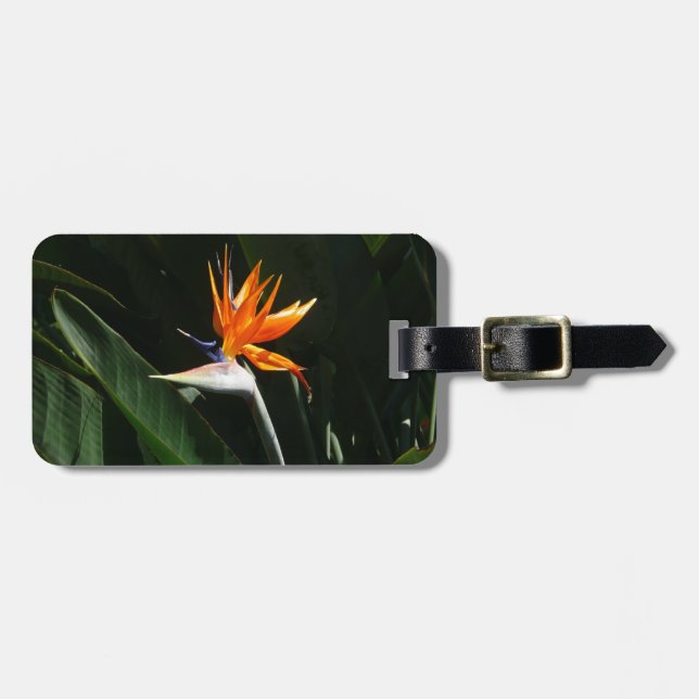 Fjäder från Paradise Orange Tropical Flower Bagagebricka (Horisontell Framsida)