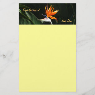 Fjäder från Paradise Orange Tropical Flower Brevpapper