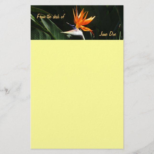 Fjäder från Paradise Orange Tropical Flower Brevpapper (Framsida)