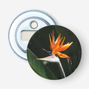 Fjäder från Paradise Orange Tropical Flower Flasköppnare