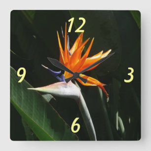 Fjäder från Paradise Orange Tropical Flower Fyrkantig Klocka