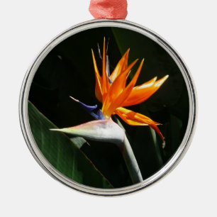 Fjäder från Paradise Orange Tropical Flower Julgransprydnad Metall