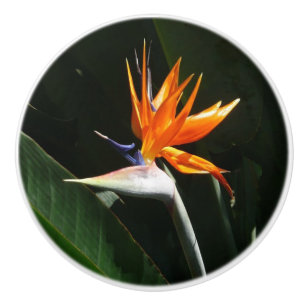 Fjäder från Paradise Orange Tropical Flower Knopp