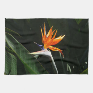 Fjäder från Paradise Orange Tropical Flower Kökshandduk